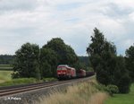 233 510 + GA 145 mit dem 51723 Nürnberg - Leipzig Engelsdorf bei Naabdemenreuth.