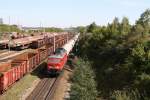 233 176-7 konnte am 12.09.10 in Mnchen-Nord mit einem Gterzug nach Mhldorf fotografiert werden.