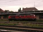 234 551-0 parkt in Frankfurt/oder.