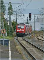 Die DB 245 006 erreicht mit ihrem IRE3 nach Basel Bad Bf den Bahnhof Erzingen.