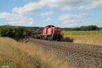 294 799-2 hängt am Zugschluss am EZ45367, Oberteich 23.08.22