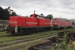 Am grauen 21 September 2025 kann vom offenbarer Weg Emsländische Eisenbahn 295 003 in Celle fotografiert werden. Am grauen 21 September 2025 kann vom offenbarer Weg Emsländische Eisenbahn 295 003 in Celle fotografiert werden.