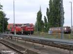 362 916-9 mit 234 242-6 in Frankfurt/oder. 19.08.08