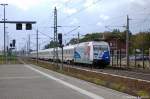 101 060-2  60 Jahre Bundespolizei  mit dem IC 143 von Utrecht Centraal nach Berlin Ostbahnhof in Rathenow.