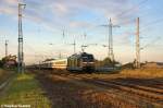 101 141-0  Bahnazubis Gegen Gewalt  mit dem IC 2431  Borkum  von Emden Auenhafen nach Cottbus in Satzkorn.