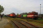 109 030, 142 118 und 232 500  MEG 317  auf dem Gelände am Historischen Lokschuppen Wittenberge ausgestellt am 30.04.2016