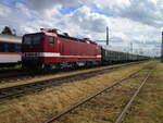 HLP 243 005 mit dem Sonderzug Cottbus-Binz,während der Abstellzeit,am 22.Juni2024,in Bergen/Rügen.