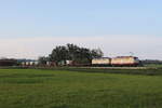 111 216 und 111 108 waren mit dem  Circus Roncalli-Zug  am 4. September 2024 bei Bernau am Chiemsee auf dem Weg nach Wien.