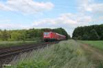 143 141 zieht die RB 75 15752 Aschaffenburg - Wiesbaden bei der Stromkreistrennstelle Bischofsheim.