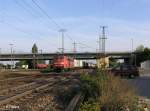 151 034-6 zieht ein Containerzug an Regensburg Ost vorbei.09.09.09