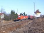 185 176-5 + 163 mit Kohlezug bei Frankfurt/Oder Nuhnen.