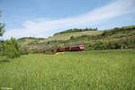 185 308-4 mit einem Containerzug bei Himmelstadt. 11.05.24