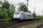 Am grauen 11 Mai 2012 verlsst Metrans 186 187 mit der Praha-KLV Emmerich und soll innerhalb ein Viertelstnde die Betuwe-Route auffahren.