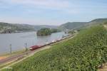 Latz 189 068 mit einem Containerzug bei Lorch am Rhein.