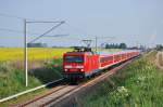 Am 21.05.2011 fährt die 114 038 mit einem Kf-Sdz nach Berlin durch Gragetopshof.