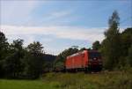 185 015 mit Ganzzug aus leeren Coilwagen am 02.08.14 in Benolpe