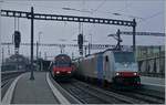 Während die SBB Re 460 mit ihrem IC6 1060 von Brig nach Basel SBB den Bahnhof Spiez verlässt, müssen die 186 498-2 (UIC 91 80 6186 498-2D-Rpool) und die BLS 475 417-2 (UIC 91 85 4475