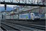 Die Railpool 187 005-4 vor den beiden BLS Loks Re 475 und 485 in Spiez.