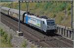 Kurz vor Concise ist die an die BLS vermietete Railpool 187 008-8 mit einem Güterzug auf dem Weg in Richtung Biel/Bienne.

5. Juli 2025 