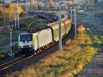 Am 10 November 2013 fuhr ES 64 F4-095 mit Papierzug durch Halle nach Rostock.