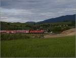 Auslaufmodell am Oberrhein.