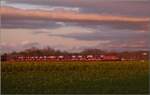185 299 während des Sonnenuntergangs in Buggingen.