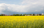 Am Samstag , dem 14.05.16 war nun wirklich nicht mit Sonnenschein zu rechnen.