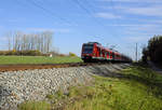 Der Schatten vieler Birken verliehen dem 423 129-6 und seinem Schwester-ET am Mittag des 02.11.17 einen  Zebra-Look . Der 423 war als S2 nach Petershausen bei Poing unterwegs.