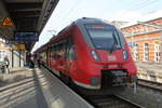 ratlose Gesichter gab es am Mittag des 04.11.2017 als plötzliche die beiden Berliner Hamster als IC 2903 von Rostock Hbf nach Berlin Hbf(Tief) im Rostocker Hbf bereit gestanden haben.Der