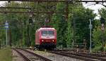 SEL 120 143-3 auf Rangierfahrt zu ihrem Zug. Pattburg/DK 22.05.2026 I