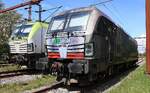 ITL 193 484 und ELL/ELOC/TXL 193 282 aufgenommen in der S�dabstellung des Gbf Pattburg/DK 15.05.2026