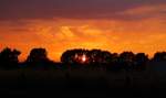 Schöner Nebeneffekt wenn man abends auf Gz Umleiter wartet....Sonnenuntergang bei Jübek...17.07.14