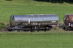 7933 377 (Zacens) von  On Rail  am 4.