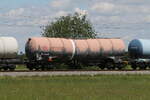 7841 651 (Zacns) von  ERMEWA  am 13. Mai 2026 bei �bersee.