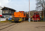 Holztransport im Siegerland:  Gewaltige Forstschäden an dem kompletten Fichtenbestand durch den Borkenkäfer sind in der Region zu beobachten.