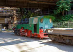 Die Normalspur-Dampflokomotive 46 der Völklinger Hütte (ehem. Röchling'schen Eisen- und Stahlwerke GmbH in Völklingen/Saar, ab 1982 ARBED-Saarstahl GmbH, ab 1986 Saarstahl Völklingen GmbH), eine Jung Hochofenlok niedriger Bauart, abgestellt mit einem offenen Roheisenpfannenwagen der Burbacher Hütte, hier am 01 Juli 2025 am Gelände Völklinger Hütte als Denkmal. Heutiger Eigentümer ist die Initiative Völklinger Hütte e.V..

1964 wurde die Lok Nr. 46 mit der Fabriknummer 13835 im Auftrag der Röchling'schen Eisen- und Stahlwerke als letzte rostgefeuerte Dampflok der Firma Arnold Jung, Lokomotivfabrik GmbH, in Jungenthal bei Kirchen an der Sieg gebaut und am 09.12.1964 geliefert. Einsatzgebiet war der Roheisentransport von den sechs Hochöfen zum Thomasstahlwerk, wobei die besonders beengten Verhältnisse auf der Völklinger Hütte eine besondere Bauform erforderten. Die Verbindung zwischen Eisenwerk und Stahlwerk war nur durch einen Tunnel möglich, da die Deutsche Bahn durch ihre Gleisanlagen die Hütte in zwei Bereiche teilt. Dieser Tunnel, der Roheisenkanal, ist so niedrig, dass die zweiachsige Lok nur eine Höhe von 2.640 mm über der Schienenoberkante und eine Breite von 2.450 mm aufweist. Die Loks 44 (11945/Baujahr 1953) und 45 (13240/Baujahr 1959), die nach vorliegenden Unterlagen technisch baugleich sind, wurden schon vorher (von der Arnold Jung GmbH an die Völklinger Hütte geliefert. 

Um speziell die Führerhausrückwand, die Lampen, aber auch die Kupplungselemente zwischen Lok und dem ersten Wagen vor flüssigen glühenden Spritzern von herabfallenden Roheisen zu schützen, erhielten die Lokomotiven ein nach hinten verlängertes Dach. Die Puffer wurden im Stahlwerk den dort vorhanden Roheisenpfannenwagen angepasst. Alte Jung Mitarbeiter berichten, an der Lok hätte man kaum was verdient, weil länst nicht mehr Dampflokteile ab Lager vorhanden waren umd z.T. mühsam und teuer beschafft werden musste.

Im Zuge der Modernisierung und Rationalisierung wurden die Roheisendampfloks 1981 nicht mehr benötigt. Während die Lokomotiven 44 und 45 an ein Museum im Ruhrgebiet verkauft wurden, gelangte die Lokomotive 46 als technisches Denkmal 1982 zur Universität Kaiserslautern. Diese schenkte die Lokomotive 46 der Initiative Völklinger Hütte, die sie mit Hilfe von Sponsoren am 9. Februar 1999 nach Völklingen zurückholte.

TECHNISCHE DATEN:
Baujahre: 1953,1959 und 1964
Gebaute Anzahl: 3
Spurweite: 	1.435 mm (Normalspur)
Achsformel: B
Länge: 7.600 mm
Achsabstand: 2.000 mm
Triebraddurchmesser: 1.000 mm (neu)
Breite: 2.450 mm
Höhe: 2.650 mm
Dienstgewicht: 26 t
Höchstgeschwindigkeit: k. A. 
Leistung: 250 PS
Zugkraft: 7,5 t
Zylinder: 2 Stück, Ø 380 mm x 500 mm Hub
Dampfdruck: 14 bar
Heizfläche: 58,92 m²
Rostfläche: 1,17 m²
Anzahl Siederohre: 178 Stück
Durchmesser Siederohre: 33/38 mm
Länge Siederohre: 2.540 mm
Wasservorrat: 2.500 l (2,5 m³)
Kohlenvorrat: 500 kg