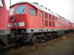 232 604-9 ex.Bh Halle G.