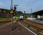 Ein ET 423 der S-Bahn Stuttgart im neuen Redesign auf Abwegen….
Der vierteilige Elektrotriebzug 94 80 0423 511-5 D-DB / 433 511-3 / 433 011-4 / 423 011-6 ein „Kurzzug“ der Baureihe 423 (1. Bauserie) der S-Bahn Stuttgart fährt am 18. Juni 2025, auf Werkstattfahrt, durch den Bahnhof Betzdorf/Sieg in Richtung Siegen. Vermutlich ging es wieder zurück nach Stuttgart.