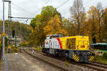 Welch seltener Gast auf der Siegstecke, auch wenn Triebzüge und -wagen der HLB hier Alltag sind, ist die Güterlok der HLB meist in und um Kassel unterwegs. Die Diesellokomotive 275 024-8, alias DG 1131 (92 80 1275 024-8 D-HEB), die Vossloh/MaK G 1206 der HLB - Hessische Landesbahn GmbH, hat am 16 Oktober 2025, auf den Weg in Richtung Köln, im Bahnhof Kirchen/Sieg Hp 0, da es eine Weichenstörung gab. Nun fährt sie weiter in Richtung Betzdorf bzw. Köln.

Die MaK G 1206 wurde 2001 von der VSFT - Vossloh Schienenfahrzeugtechnik GmbH in Kiel-Friedrichsort unter der Fabriknummer 1001131 gebaut und an die LC - Locomotion Capital Ltd. (London) als Mietlok geliefert. 

Lebenslauf/Stationen und Bezeichnungen:
•	Dezember 2001 - Vermietung an NE - Städtische Hafenbetriebe Neuss
•	Januar 2002 - Vermietung an StEK - Städtische Eisenbahn Krefeld 
•	Januar 2002 - Vermietung an Niederrheinische Verkehrsbetriebe AG (NIAG) 
•	Januar/Februar 2002 - Vermietung an OHE- Osthavelländische Eisenbahn AG 
•	Februar 2002 bis August 2003 - Vermietung an IL - InfraLeuna Infrastruktur- und Service GmbH, als IL 206
•	April 2003 - Verkauf an ATC - Angel Trains Cargo SA, Antwerpen (B)
•	August 2003 bis - Vermietung an RBH - RAG Bahn und Hafen GmbH als  RBH 841  
•	April bis Juni 2005 - Vermietung an MEG - Mitteldeutsche Eisenbahn GmbH  MEG 298  
•	November 2005 bis Oktober 2006 - Vermietung an MVG - Mülheimer Verkehrsgesellschaft mbH, Mülheim (Ruhr)  2  
•	November 2006 bis 2013 Vermietung an CFL - Société Nationale des Chemins de Fer Luxembourgeois bzw. CFL Cargo als 1504. Ab 2007 dann NVR-Nummer 92 82 0001 504-0 L-CFLCA. Zum 01.01.2010 aus der ATC wird die Alpha Trains Belgium NV/SA. 
•	Juni 2013 bis Dezember 2014 - Vermietung an HLB - Hessische Landesbahn GmbH  
•	31.12.2014 - Verkauf an die HLB - Hessische Landesbahn GmbH, Betreiber Bezeichnung  DG 1131 , vergabe der NVR-Nummer 92 80 1275 024-8 D-HEB. Auffällig ist das sie, trotz der längeren Einsatzdauer in Luxemburg, heute nur die UIC-Zulassung für Deutschland (D) hat. 

Die MaK G 1206 ist im schweren Rangier- und Streckendienst einsetzbar. Sie wurde 1997 zum ersten Mal gebaut und ist nach Deutschland, Österreich, der Schweiz, Luxemburg, Italien, Spanien, den Niederlanden und nach Frankreich verkauft worden. Allein 23 Lokomotiven fahren als BB 61000 bei der SNCF, davon sechs mit MTU-Motor (Die G 1206 gibt es wahlweise mit Caterpillar- oder MTU-Motor). Diese Lok hat einen Caterpillar 12 Zylinder 4-Takt Dieselmotor mit Abgasturbolader und Ladeluftkühlung vom Typ 3512B DI TA-SC mit einer Leistung von 1.500 kW bei1.800 U/min. Das Strömungsgetriebe ist ein Voith L 5r4 zU2.
