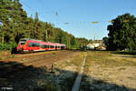 442 229-1 mit S3 3935 Neumarkt/Oberpfalz - Nürnberg in Ochenbruck.