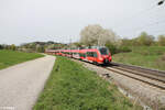 442 233 + 442 xxx als S1 S39143 Bamberg - Neumarkt/Oberpfalz bei Pölling.