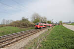 442 767 als S1 39162 Neumarkt/Oberpfalz - Bamberg bei Pölling in der Kurve 07.04.24