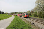 442 224 als S1 39153 Forchheim - Neumarkt/Oberpfalz bei Pölling.