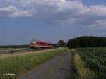 928 411 mit Schlerverstrkungszug bei Oberteich nach Marktredwitz.