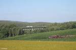 Eine unbekannte Agilis als ag84542 Hof - Bad Rodach überquert das Unterthölauer Viadukt.