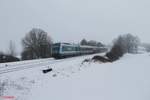 223 067 zieht bei Schönfeld den ALX84106 München - Hof durch das Schneetreiben.