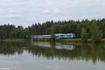 223 062 zieht den ALX84102 Hof - München südlich von Wiesau an der Teichlandschaft vorbei.