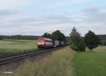 420 13 zieht einen Kesselzug Regensburg - Cheb bei Naabendemreuth.