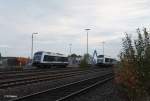 223 144 und 223 152 rangieren in Wiesau/Oberpfalz 08.10.14