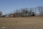 ES64 F4-289 mit Containerzug bei Jacobsdorf(Mark) 08.03.11